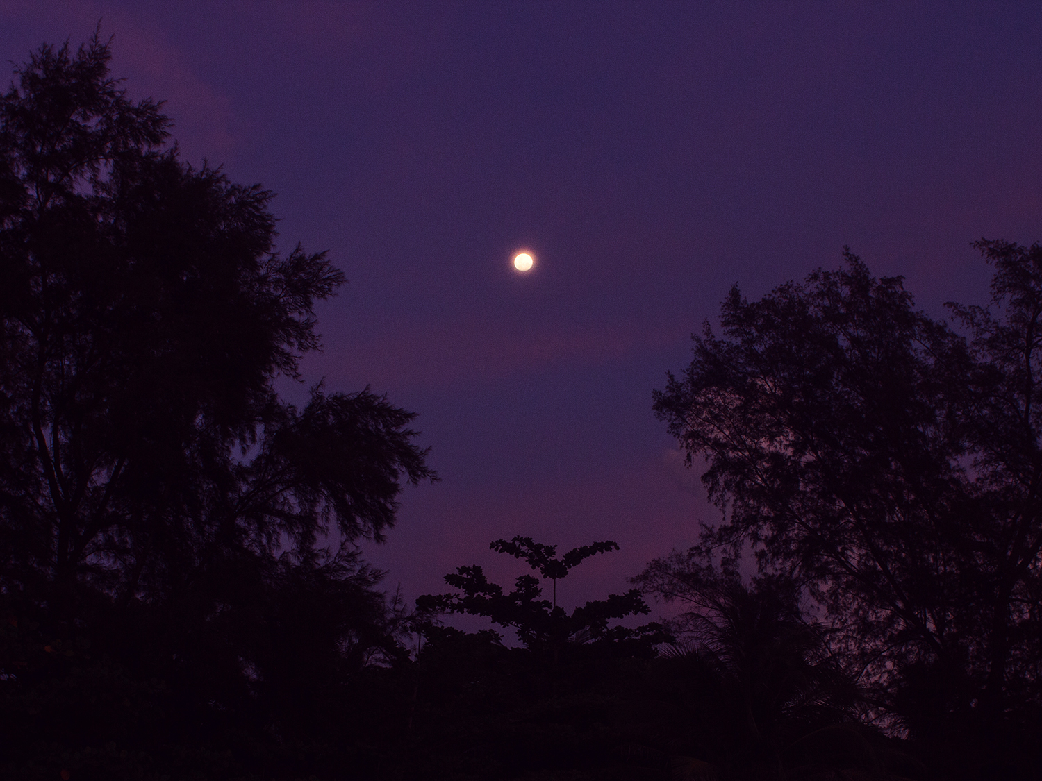 Moon rising in a purple sky over trees in Thailand.