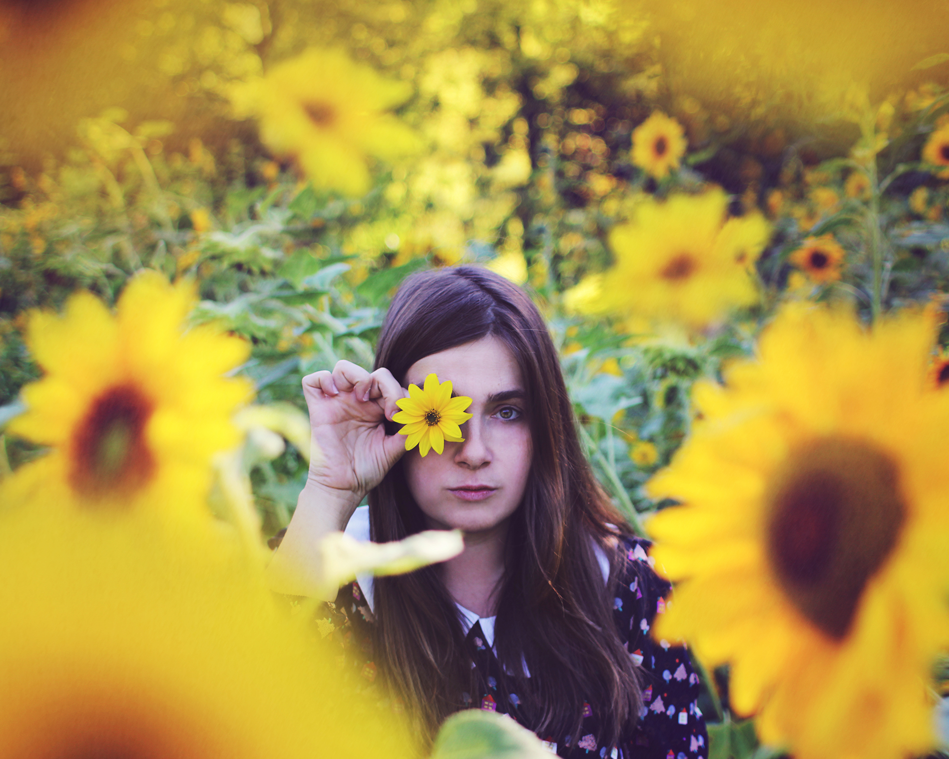 A woman in a sunflower field holding a sunflower in front of her eye.