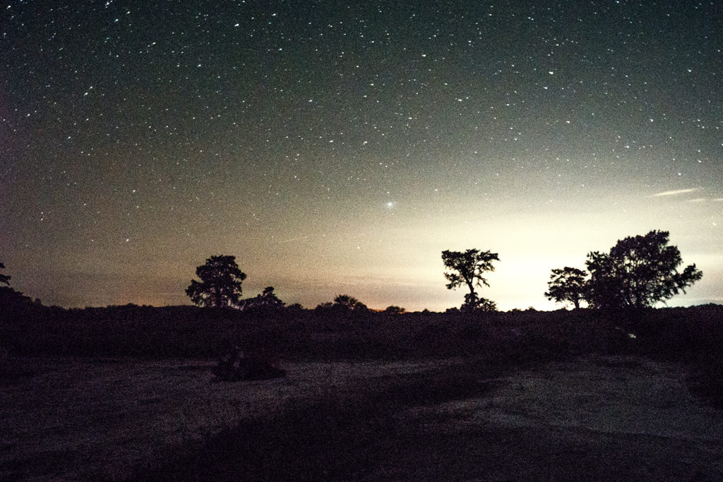 A photo of a sky full of stars taken during our last peyote ceremony in Mexico.