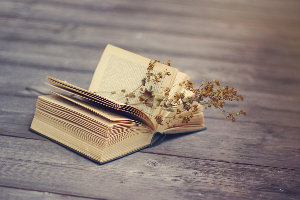 Change your story: An open book with a dried flower inside.