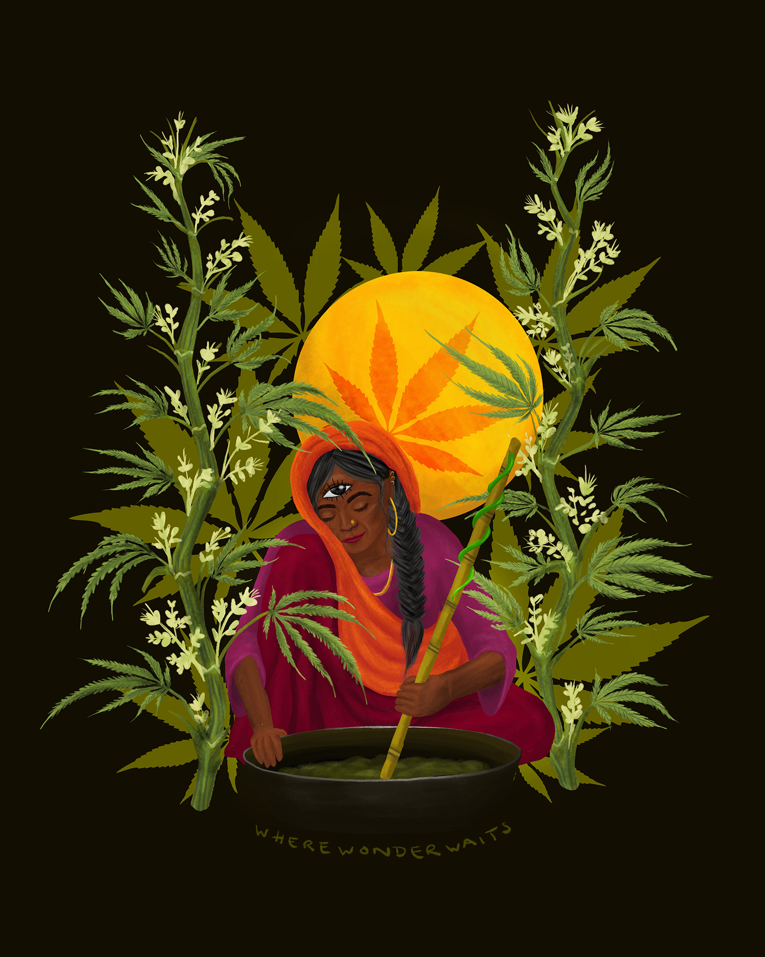 An illustration showing the typical preparation of the Indian drink Bhang with cannabis plants in the background.