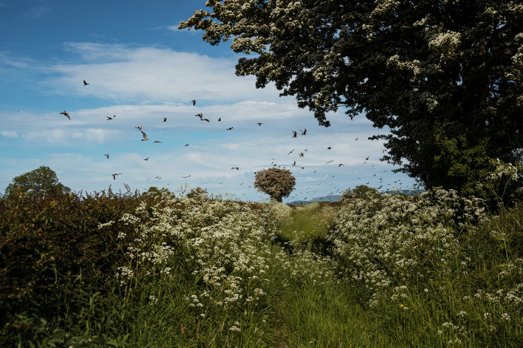 Looking for an artist date idea? Why not go birdwatching in the countryside, as shown in the picture? Nature offers plenty of opportunities for nurturing your inner artist.