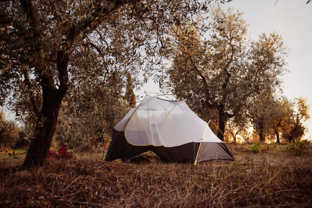 A tent hidden inbetween olive trees at sunset.