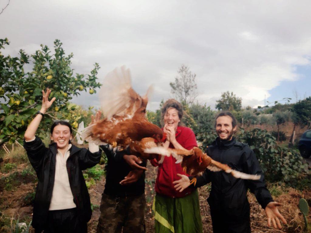 Four young people at a Workaway with flying chickens in front of them.