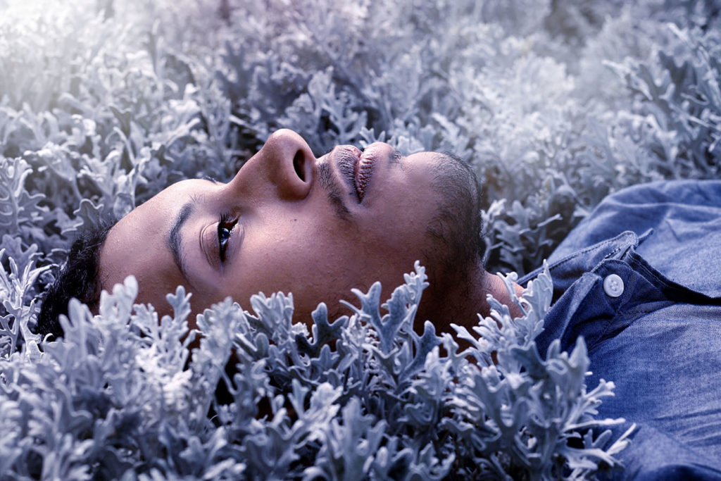 A portrait of a man lying in between plants.