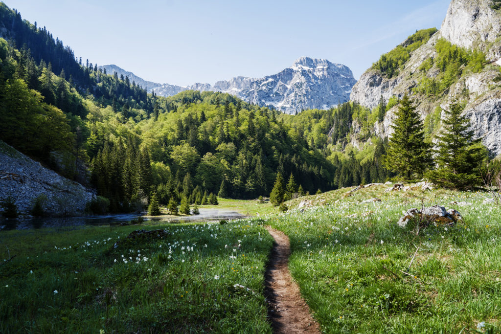 A beautiful mountain trail in the national park Sutjeska.