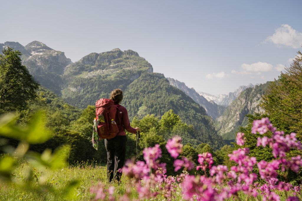 A hiker in a wildflower meadow on the Peaks of the Balkans trail.