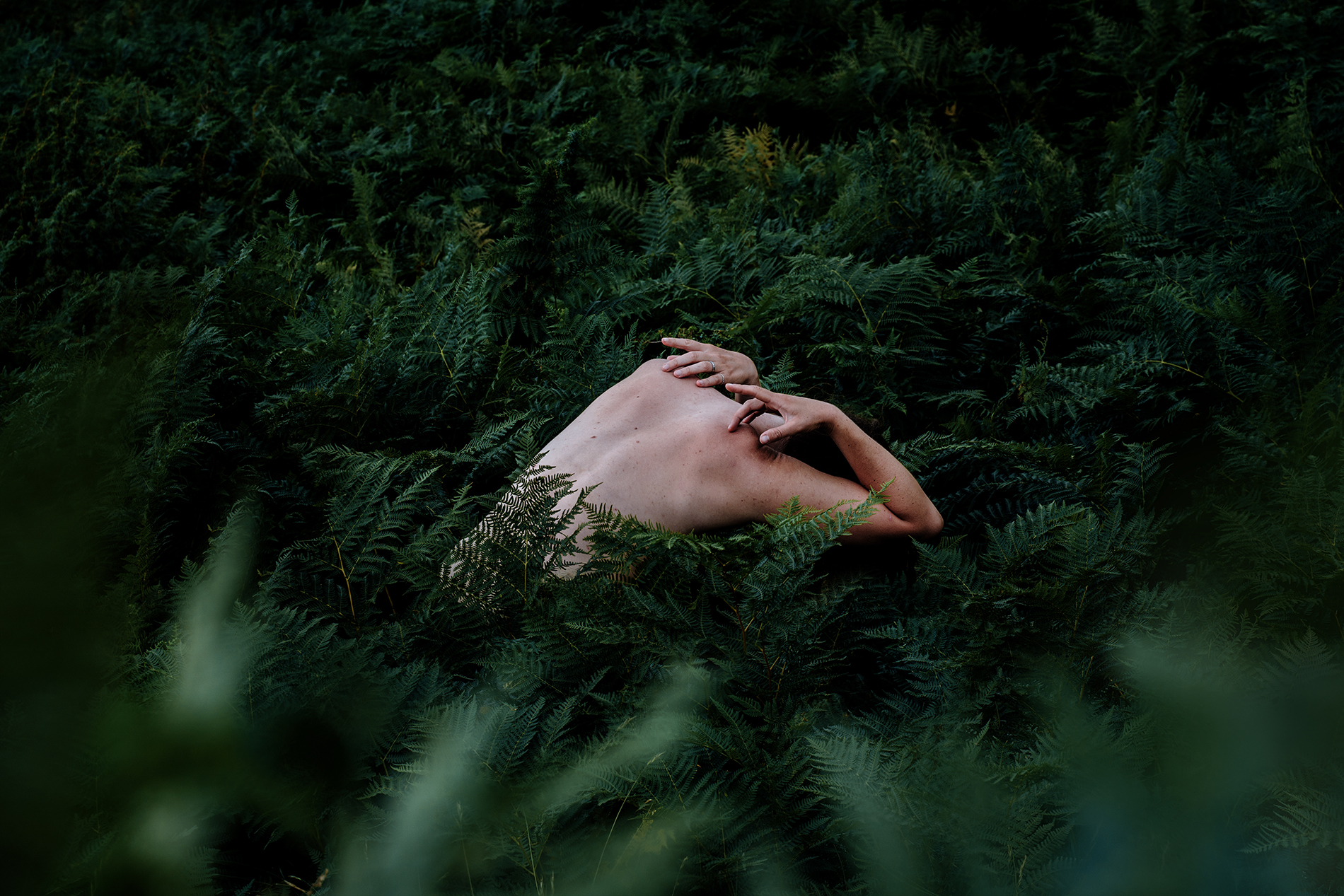 Emotional nude fine art photography by Anna Heimkreiter. A woman's bare back inbetween green ferns.