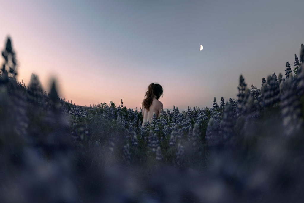 Fine Art Photography taken in Iceland by Anna Heimkreiter. The soft, feminine photograph shows a the nude back of a woman among lupines under the rising moon.