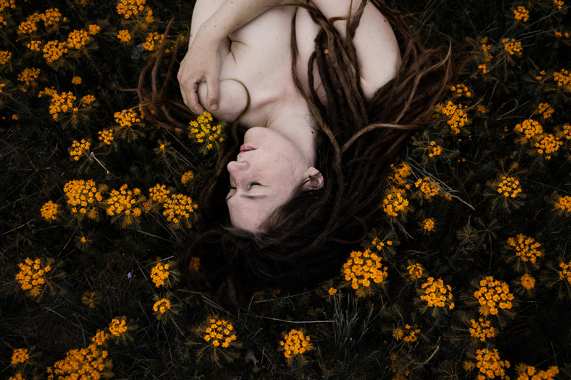 A sensual portrait of a woman inbetween flowers taken from above. Self portrait by photographer Anna Heimkreiter.