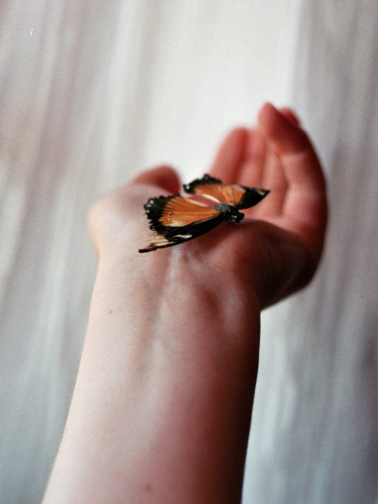 A self-portrait taken on film. It shows an extended arm with a butterfly sitting on the hand.